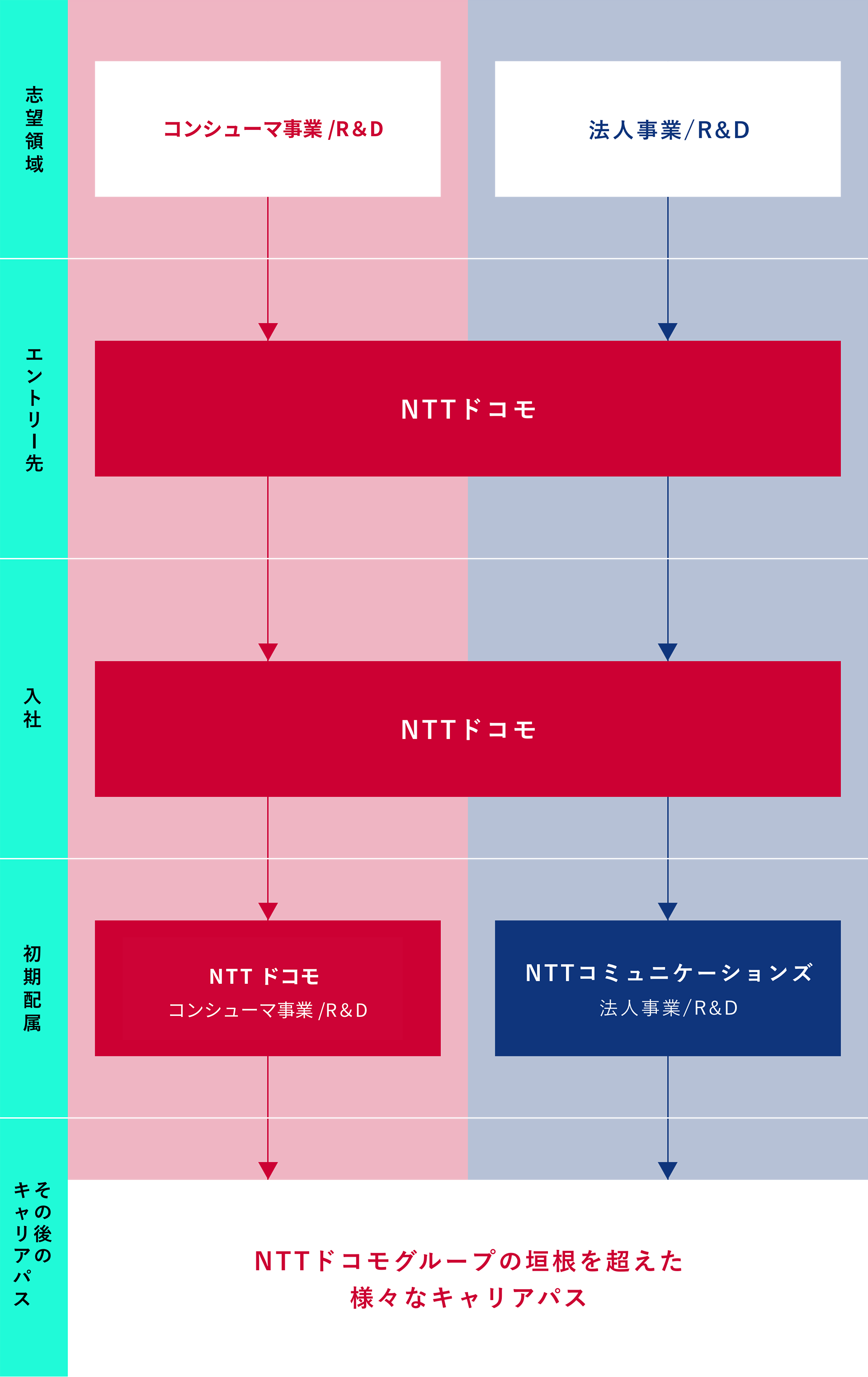 新卒採用プロセス